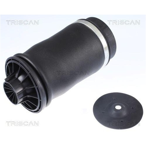 TRISCAN Luftfeder, Fahrwerk
