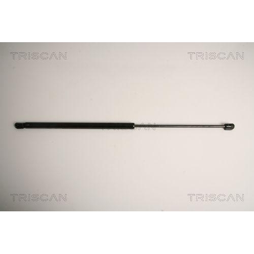 TRISCAN Gasfeder, Koffer-/Laderaum
