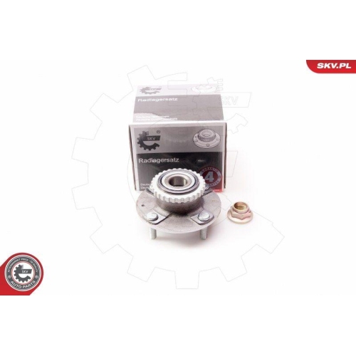 ESEN SKV Radlagersatz