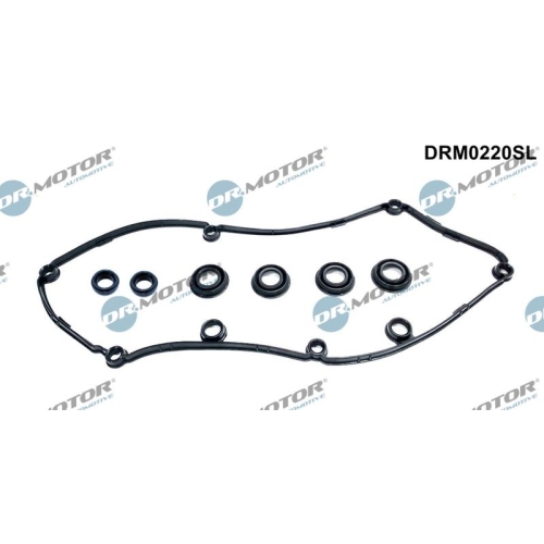 Dr.Motor Automotive Dichtungssatz, Zylinderkopfhaube