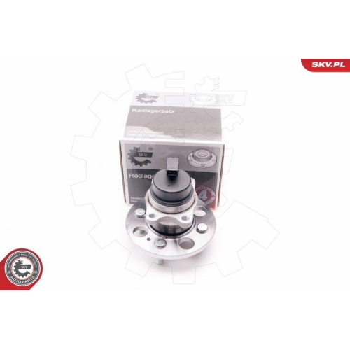 ESEN SKV Radlagersatz