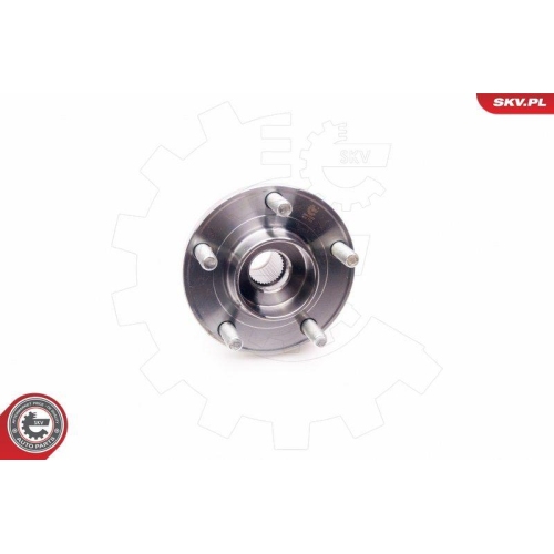 ESEN SKV Radlagersatz