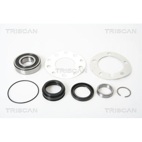 TRISCAN Radlagersatz