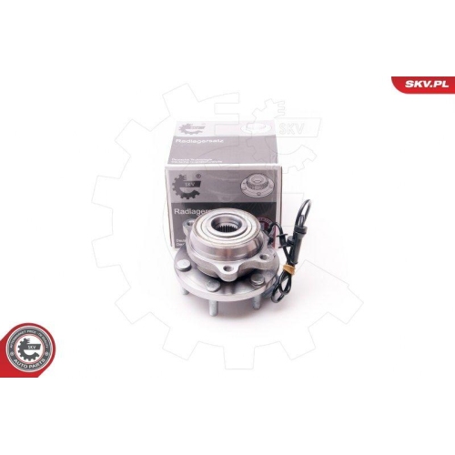 ESEN SKV Radlagersatz