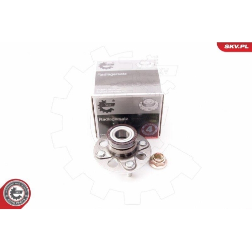 ESEN SKV Radlagersatz
