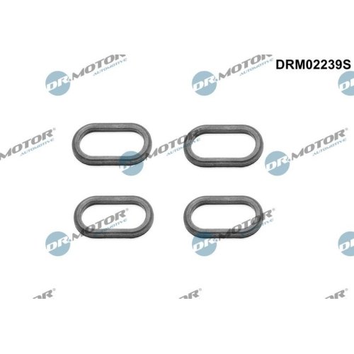 Dr.Motor Automotive Dichtung, Düsenhalter