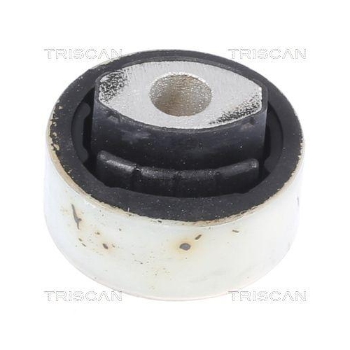 TRISCAN Lagerung, Lenker