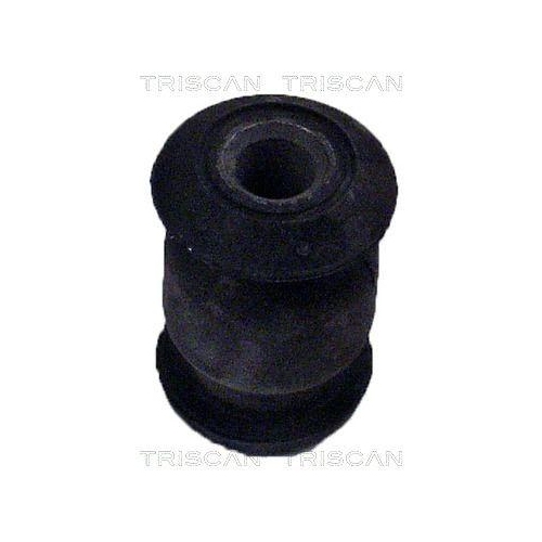 TRISCAN Lagerung, Lenker