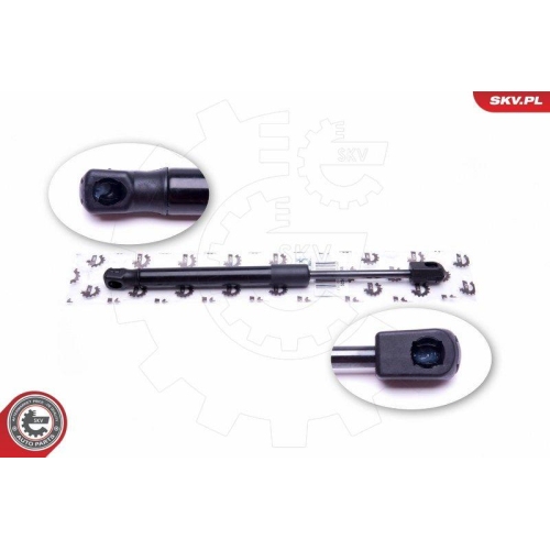 ESEN SKV Gasfeder, Koffer-/Laderaum