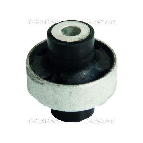 TRISCAN Lagerung, Lenker