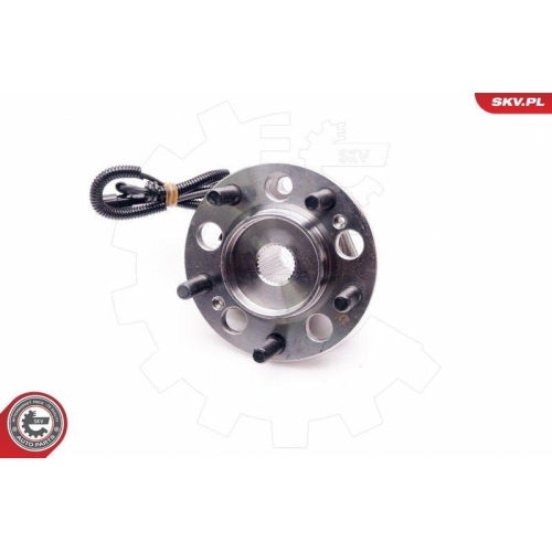 ESEN SKV Radlagersatz