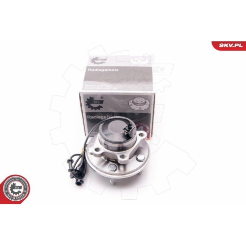 ESEN SKV Radlagersatz