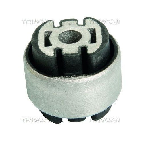 TRISCAN Lagerung, Lenker