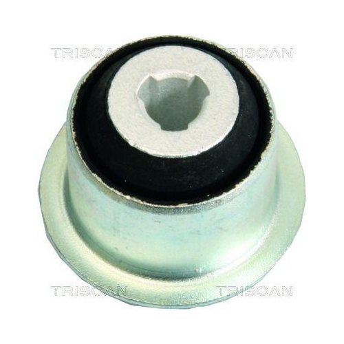 TRISCAN Lagerung, Lenker