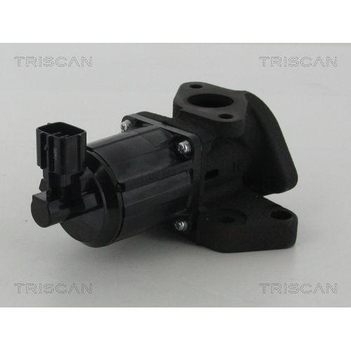 TRISCAN AGR-Ventil