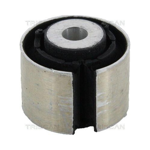 TRISCAN Lagerung, Lenker