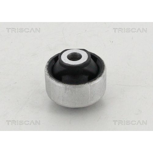 TRISCAN Lagerung, Lenker