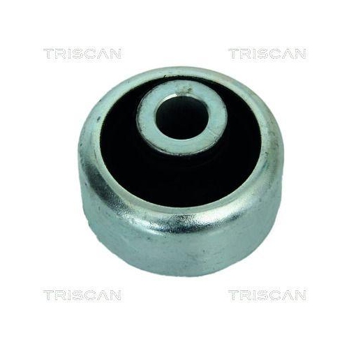 TRISCAN Lagerung, Lenker