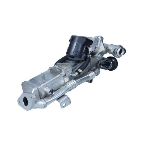 MAXGEAR Kühler, Abgasrückführung