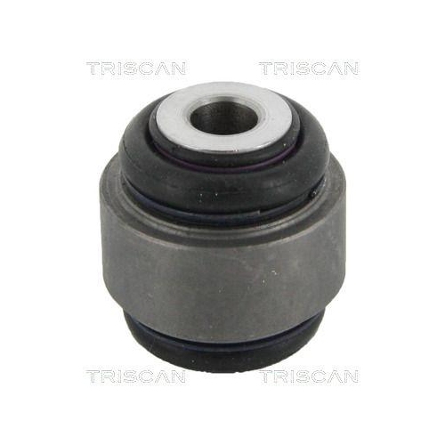 TRISCAN Lagerung, Lenker