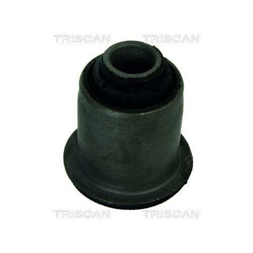 TRISCAN Lagerung, Lenker