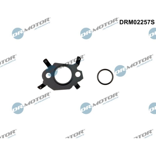 Dr.Motor Automotive Dichtungssatz, AGR-System