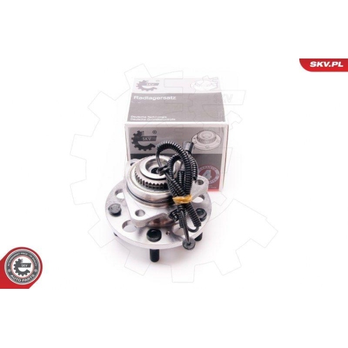 ESEN SKV Radlagersatz
