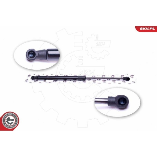 ESEN SKV Gasfeder, Koffer-/Laderaum