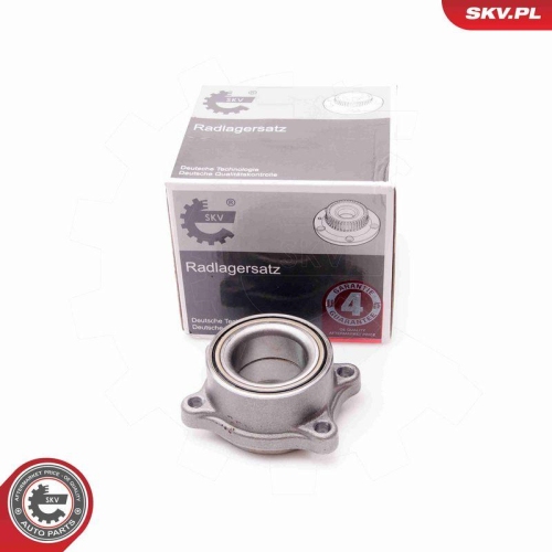 ESEN SKV Radlagersatz