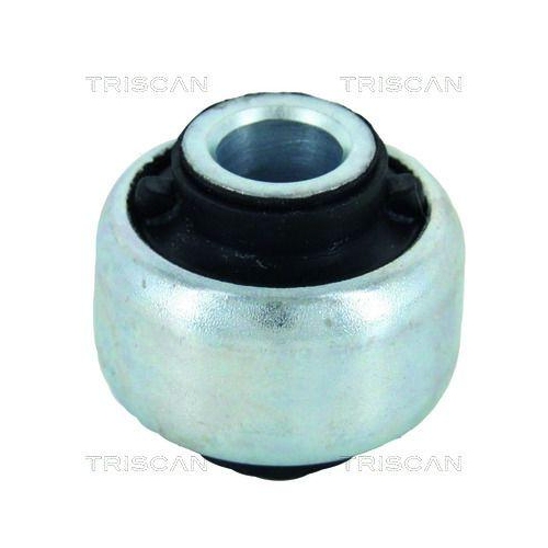 TRISCAN Lagerung, Lenker