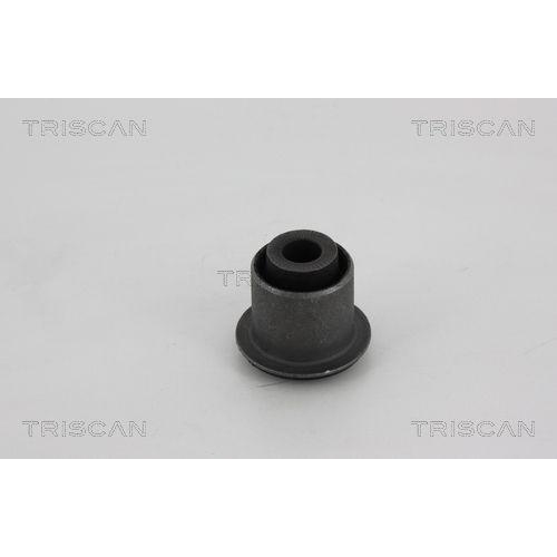TRISCAN Lagerung, Lenker