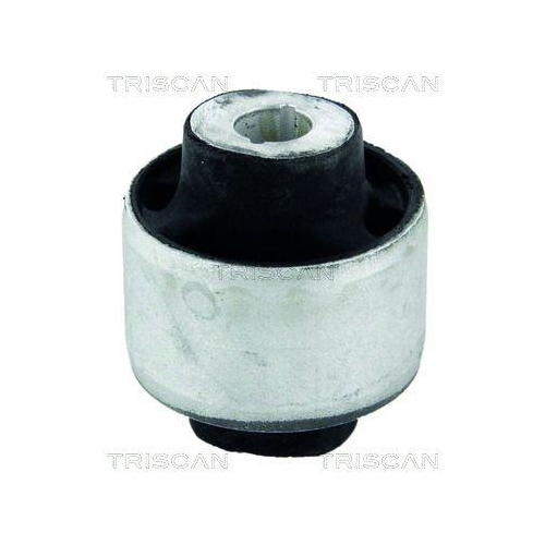 TRISCAN Lagerung, Lenker