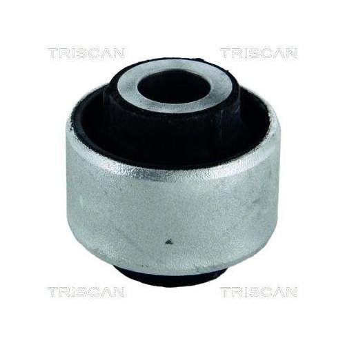 TRISCAN Lagerung, Lenker