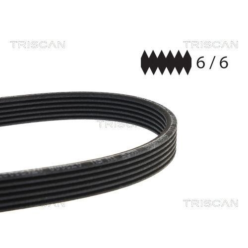 TRISCAN Keilrippenriemen