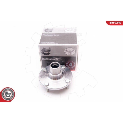 ESEN SKV Radlagersatz