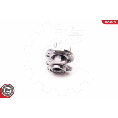 ESEN SKV Radlagersatz