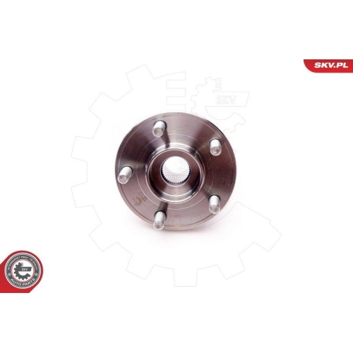 ESEN SKV Radlagersatz