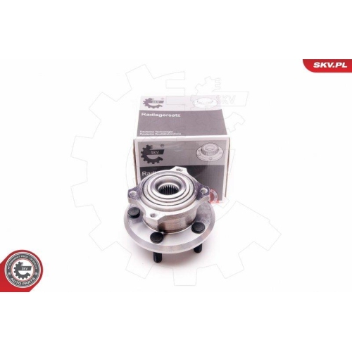 ESEN SKV Radlagersatz