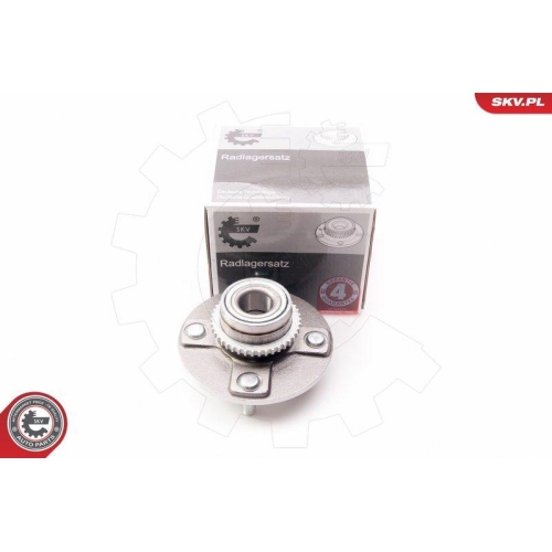 ESEN SKV Radlagersatz