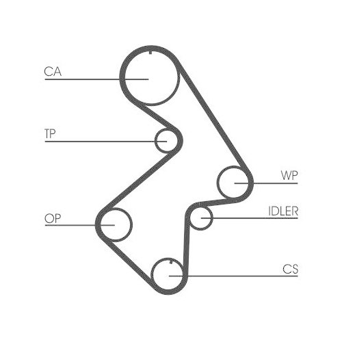 CONTINENTAL CTAM Zahnriemen