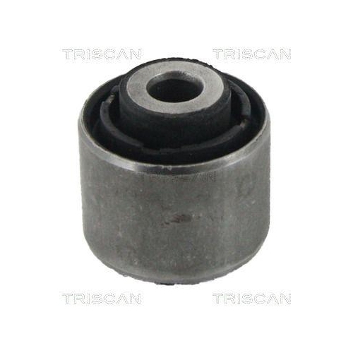 TRISCAN Lagerung, Lenker