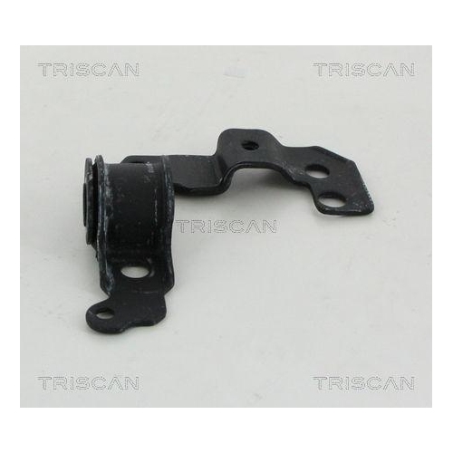 TRISCAN Lagerung, Lenker