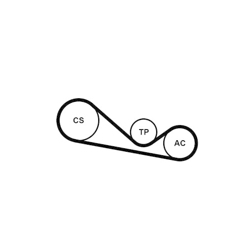 CONTINENTAL CTAM Keilrippenriemensatz
