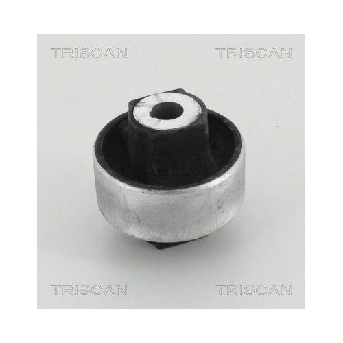 TRISCAN Lagerung, Lenker