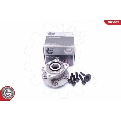 ESEN SKV Radlagersatz