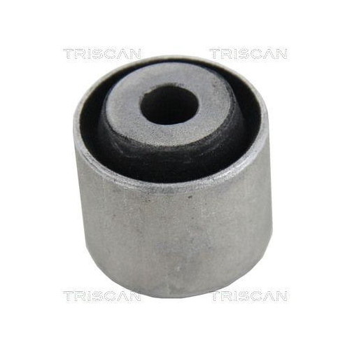 TRISCAN Lagerung, Lenker