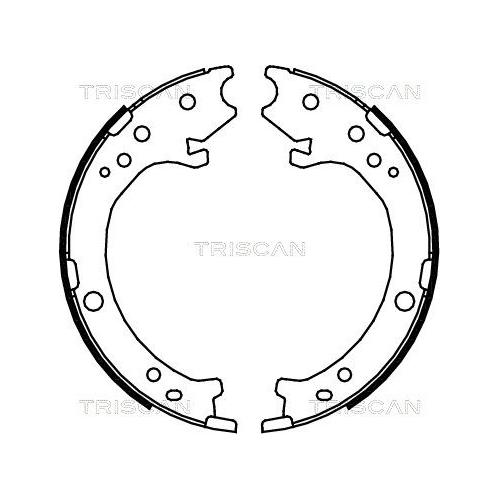 TRISCAN Bremsbackensatz