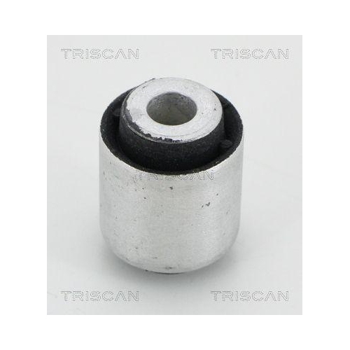 TRISCAN Lagerung, Lenker