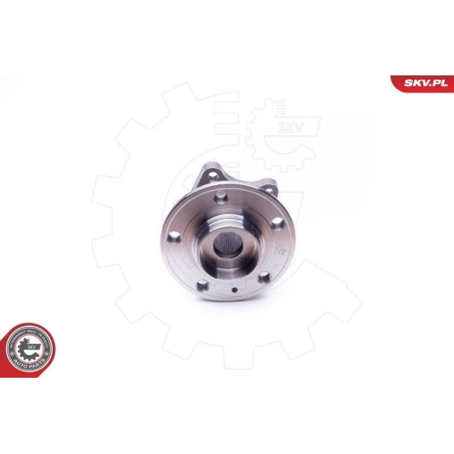 ESEN SKV Radlagersatz