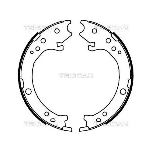 TRISCAN Bremsbackensatz